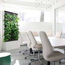 TheCreativeMind's Healthtech Wall in a brightly lit conference room.